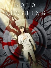 Solo Leveling saison 1 poster
