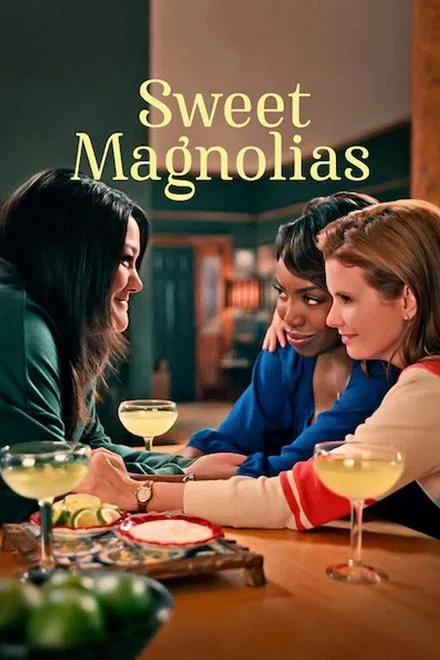 A l'ombre des magnolias saison 5 poster