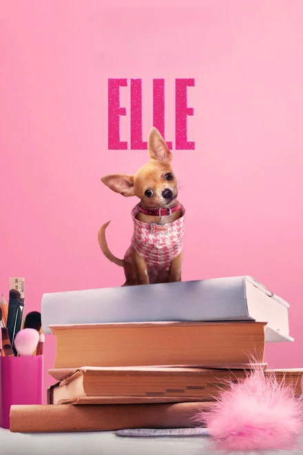 Elle saison 2 poster