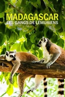 Madagascar : les gangs de lémuriens saison 1 poster