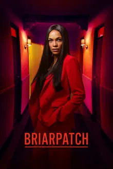 Briarpatch saison 1 poster