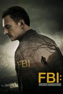Most Wanted Criminals saison 1 poster