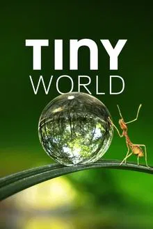 Tiny World saison 1 poster