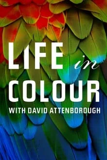 La Vie en couleurs avec David Attenborough saison 1 poster