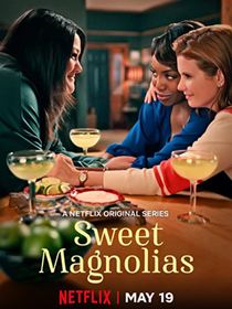 A l'ombre des magnolias saison 3 poster