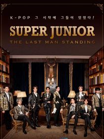 Super Junior : 15 ans de scène saison 1 poster