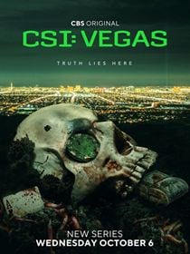 CSI: Vegas saison 3 poster